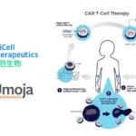 Oricell Partners with Umoja Biopharma to Develop In Vivo CAR-T Cell Therapies