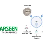 CARsgen Therapeutics' CT0596 Shows Promising Results in Early Clinical Study