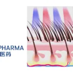 Fosun Pharma's LBP-ShC4 Receives FDA Approval for Androgenic Alopecia Study