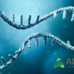 AbbVie Pays $335 Million Upfront to ADARx for Next-Gen siRNA Therapeutics