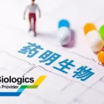 Terumo Corporation Acquires WuXi Biologics' Germany Plant for EUR 150 Million