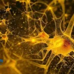 4B Technologies Gains NMPA Approval for ALS Drug 4B02-01 Clinical Trials