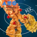 Antengene and MSD Collaborate on ATG-022 for Advanced Solid Tumors
