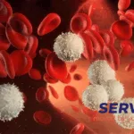 Servier Acquires BioNova's BN104 for Acute Leukemia Treatment