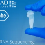 Roche Partners with Broad Clinical Labs to Advance SBX Sequencing Technology