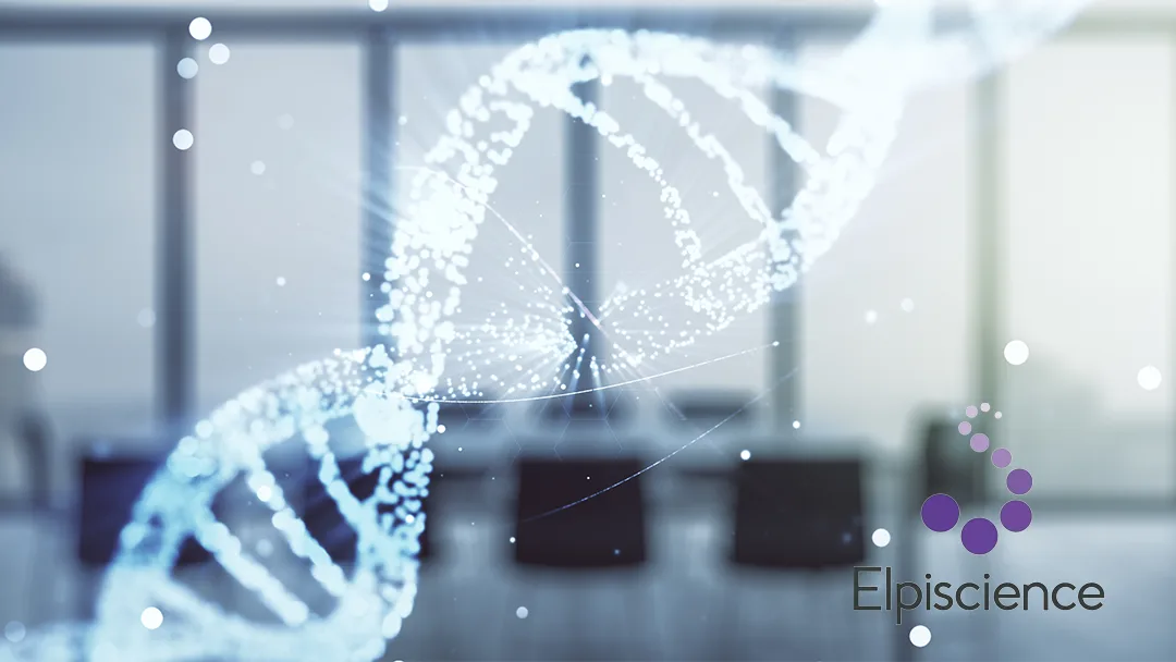 Elpiscience Files for Hong Kong IPO Focusing on Immunotherapy Pipeline