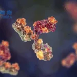 Bio-Thera Solutions Terminates BAT3306 Trial Amid Biosimilar Policy Shifts