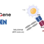 BeiGene and Amgen Report Positive Results for Tarlatamab in Chinese ES-SCLC Patients