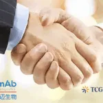 EpimAb Biotherapeutics and Juri Biosciences Ink Global Licensing Deal for KLK2-CD3 T-Cell Engager