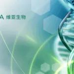 Viva Biotech Establishes RMB 300M Fund for Early-Stage Pharma Projects