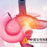 Sino Biopharmaceutical's TQB2868 Shows Strong Results in Phase II Pancreatic Cancer Trial