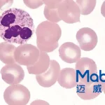 NMPA Approves Mabwell's 8MW0511 for Febrile Neutropenia Prevention