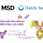MSD and Daiichi Sankyo Withdraw US Filing for Patritumab Deruxtecan in EGFR-Mutated NSCLC