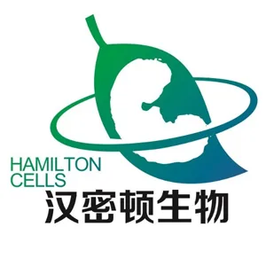 Explore the latest insights on Hamilton Biotechnology and its impact on China's pharmaceutical industry. Fineline Info & Tech delivers reliable data, news, and intelligence to help you navigate the complexities of Hamilton Biotechnology's developments with precision and clarity. Stay informed and enhance your decision-making at flcube.com.