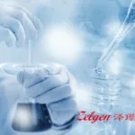 Zelgen Biopharmaceuticals Presents Clinical Updates for Alveltamig, Nilvanstomig and ZGGS15 at ASCO 2025