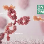 BioNTech Partners with BMS to Jointly Develop BNT327 for Solid Tumors