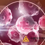 Sino Biopharmaceutical Presents CAMPASS Phase III Results at ASCO 2025