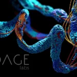 BioAge Labs Partners with JiKang for APJ Agonist Nanobody License