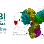 OBI Pharma Partners with TegMine to Develop Antibody-Drug Conjugates