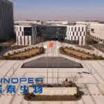 Sinopep Allsino Partners with Vazyme to Advance Synthetic Biology