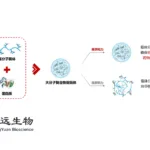 Boai NKY's LYC001 Receives Clinical Approval in China for Advanced Solid Tumors