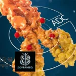Escugen Partners with SovranBio to Accelerate Development of Antibody-Drug Conjugates
