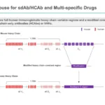 Harbour BioMed Wins CNIPA Validation of 'Binding Molecule' Patent Amid Dispute