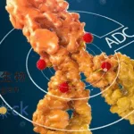 Shanghai Escugen and SunRock Biopharma Collaborate on First-in-Class CCR9-Targeted ADC