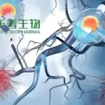 Lepu Biotech Gains EMA Approval for MRG003 HNSCC Clinical Trial