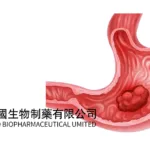 Sino Biopharmaceutical's LM-108 Gains CDE BTD for Gastric Adenocarcinoma