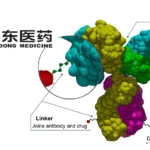 HuaDong Medicine's HDM2020 Gains NMPA Approval for Clinical Trials