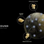 ProFound Therapeutics and Novartis Forge Four-Year Partnership for Cardiovascular Drug Targets