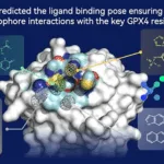 QuantumPharm and Pfizer Expand Collaboration on Advanced Molecular Simulation Platform