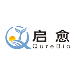 Explore the latest insights on Qure Biotechnology and its impact on China's pharmaceutical industry. Fineline Info & Tech delivers reliable data, news, and intelligence to help you navigate the complexities of Qure Biotechnology's developments with precision and clarity. Stay informed and enhance your decision-making at flcube.com.
