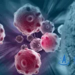 Anhui Anke Biotechnology Receives NMPA Clearance for AK2024 in HER2 Positive Solid Tumors