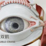 China Resources Double-Crane Announces NMPA Clinical Approval for J002 Dry Eye Syndrome Treatment