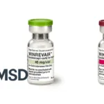 MSD's Winrevair Accepted for Priority Review by FDA for Pulmonary Arterial Hypertension