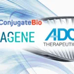 Adagene Collaborates with ConjugateBio to Develop Bispecific Antibody Drug Conjugates