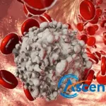 Ascentage Pharma's Lisaftoclax Receives NMPA Approval for CLL/SLL Treatment