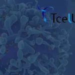 Tcelltech Secures USD 40 Million Series B Funding for TX-103 CAR-T Therapy Development