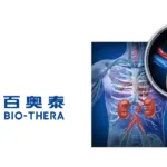 Bio-Thera's BAT4406F Gets NMPA Nod for MCD and FSGS Clinical Trials