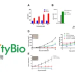 DualityBio's Next-Generation HER3 ADC DB-1310 Granted FDA Fast Track Designation