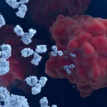 Simcere Zaiming Receives FDA Clearance for Phase I Trial of FGFR2b-Targeting ADC SIM0686