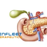 GenFleet Therapeutics Announces Fast Track Designation for GFH375/VS-7375 in Pancreatic Cancer