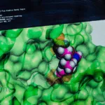 Matchpoint Therapeutics Partners with Novartis to Develop Oral Covalent Inhibitors for Inflammatory Diseases