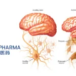 Fosun Pharma Secures Licensing Rights for AR1001 in Alzheimer's Treatment