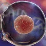 Cedicine Biotech's Umbilical Cord Blood Mononuclear Cell Injection Gains CDE Approval for Clinical Trial