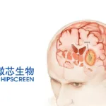 Chipscreen's Next-Gen Brain-Penetrant Aurora B Inhibitor CS231295 Gains FDA Clearance for Advanced Solid Tumors