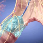 Cryofocus Medtech's Cryoadhesion System Gains NMPA Approval for Commercialization