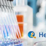 Henlius' HLX43 Approved by FDA for Phase 1 Trial in Thymic Carcinoma Treatment